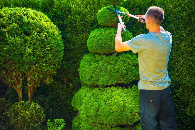 Shrub Trimming in Action