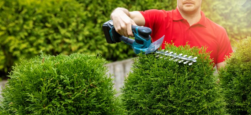 Shrub Trimming Service